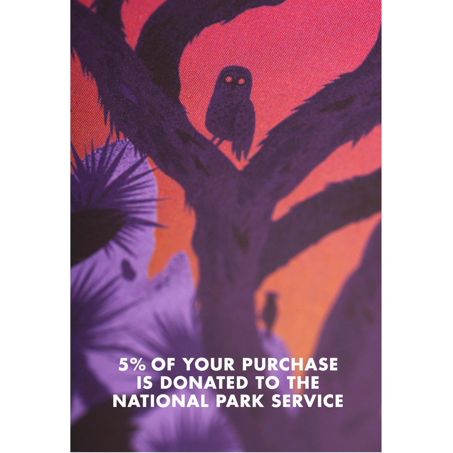 Field Notes National Parks Series C
